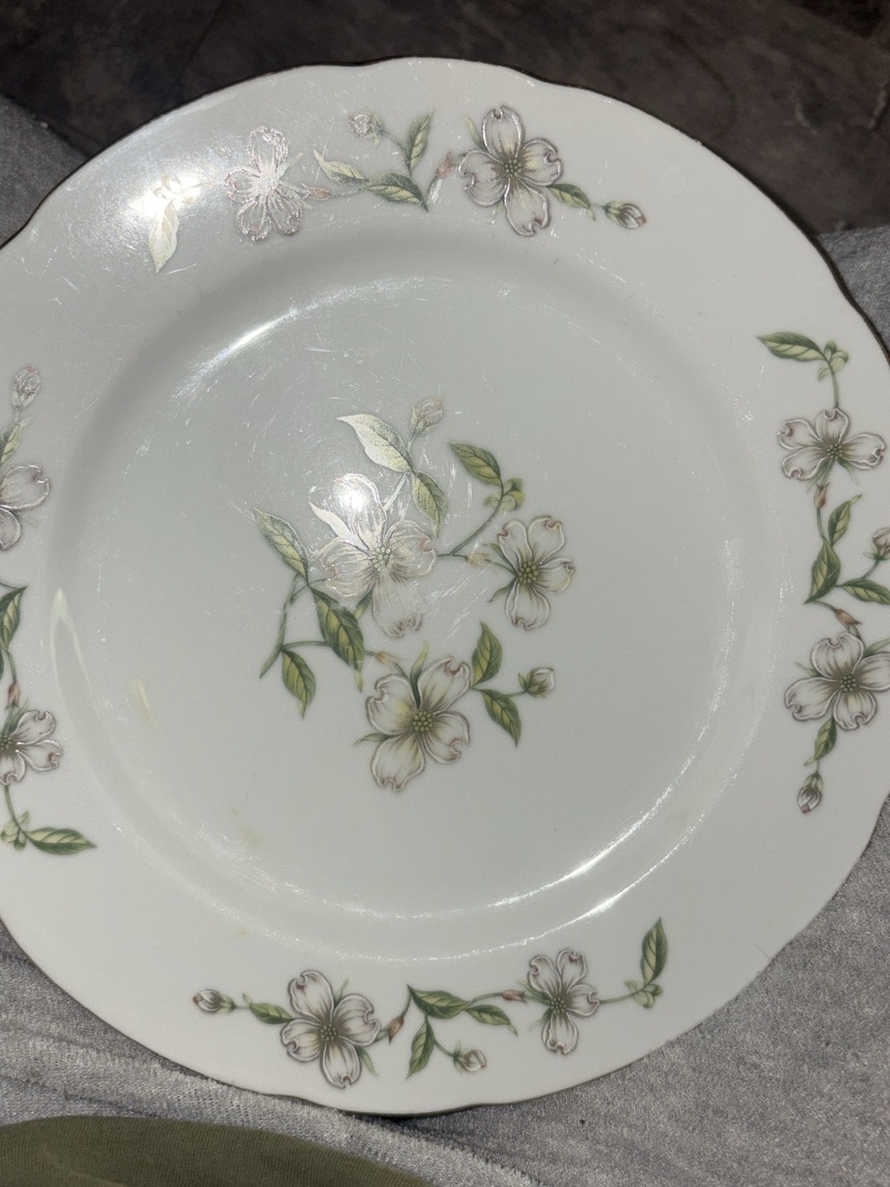 Floral Porcelain Dinner Plate in White and Green st of 6